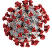 Corona Virus 2.jpg